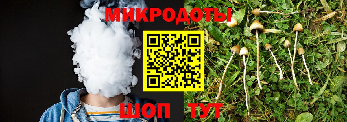 Псилоцибиновые грибы Cubensis Чернушка