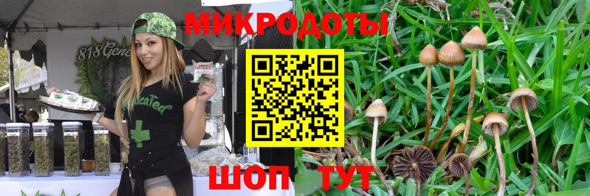 Чернушка  Псилоцибиновые грибы прущие грибы  Галлюциногенные грибы мицелий  Вход с VPN 